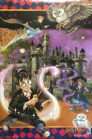 Harry Potter Illustration Poster
