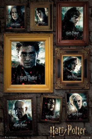 Harry Potter Portraits Poster