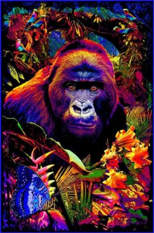 Gorilla Encounter Non-Flocked Blacklight Poster