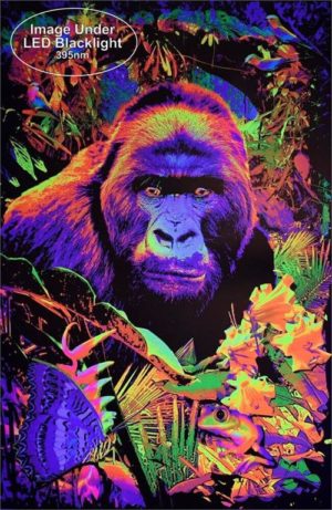 Gorilla Encounter Non-Flocked Blacklight Poster - Image 2