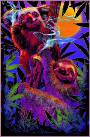 High in the Bush Koala Sloth Non-Flocked Blacklight Poster
