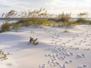 Braun Studio - Beach Photographic Print