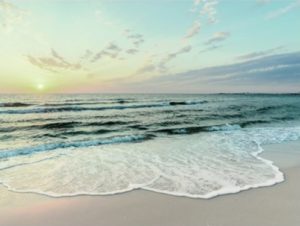 Braun Studio - Seaside Photographic Print