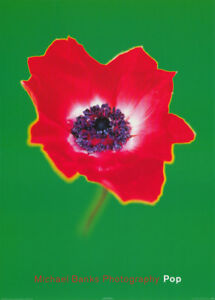 Michael Banks - Pop Poppy Poster