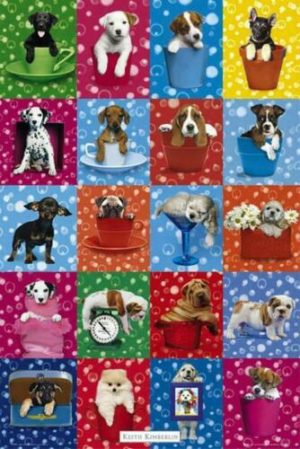 Keith Kimberlin - Dog Collage Poster