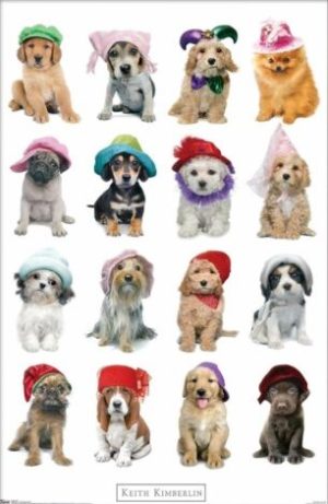 Keith Kimberlin - Puppies Hats Poster