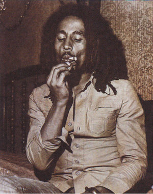 Bob Marley photographed by Jeff Cathrow Mini Poster