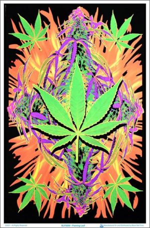 Joseph Charron - Flaming Leaf Flocked Velvet Blacklight Poster
