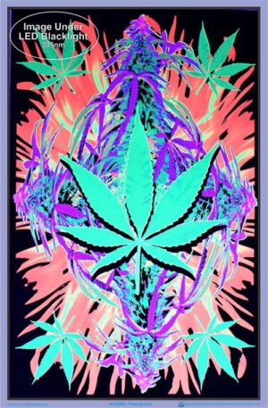 Joseph Charron - Flaming Leaf Flocked Velvet Blacklight Poster - Image 2