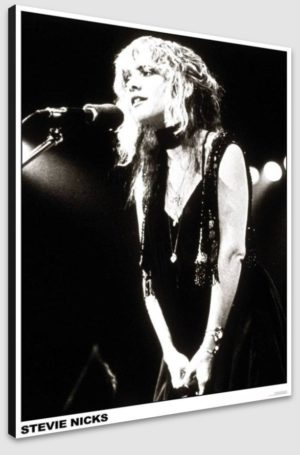 Fleetwood Mac Stevie Nicks Live A1 Poster - Poster 59.5x84cm Blockmounted