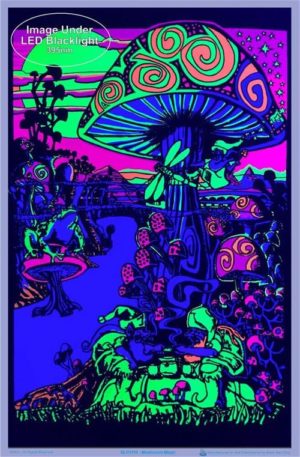 Mushroom Magic Flocked Velvet Blacklight Poster - Image 2