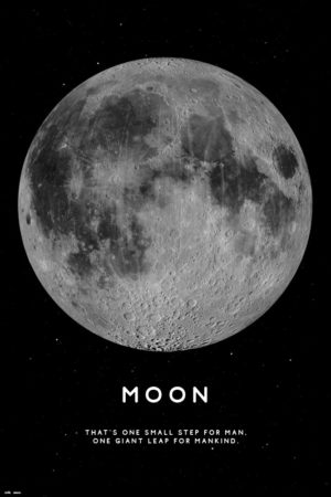 The Moon Quote Poster