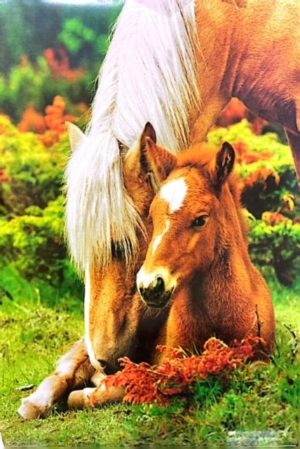 Mare and Foal Heath Poster