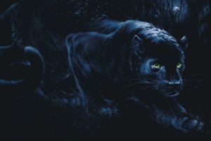 Xavier Fernandez - Panther Dark Moon Rising Poster