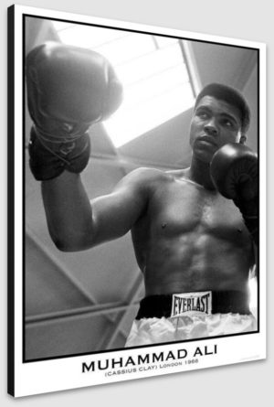 Muhammad Ali White City London 18th May 1966 A1 Poster - Poster 59.5x84cm Blockmounted