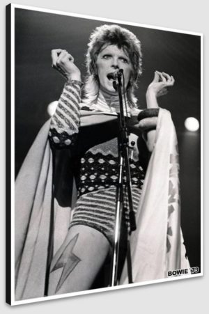 David Bowie Ziggy Stardust Live 1973 A1 Poster - Poster 59.5x84cm Blockmounted