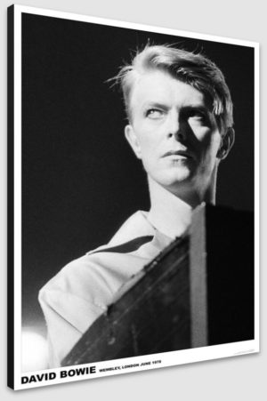 David Bowie Wembley Arena June 1978 A1 Poster - Poster 59.5x84cm Blockmounted