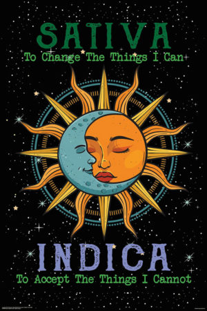 Sativa To Change Indica To Accept Poster