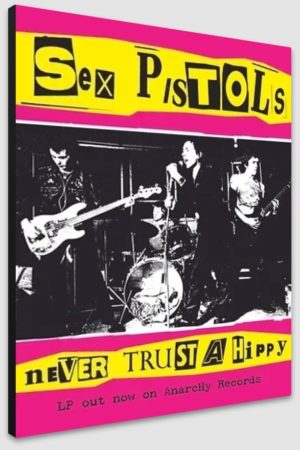 Sex Pistols Never Trust A Hippy A1 Poster - Poster A1 59.5x84cm Blockmounted
