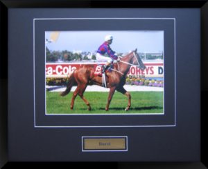 Burst Horse Racing Matted And Framed Photo