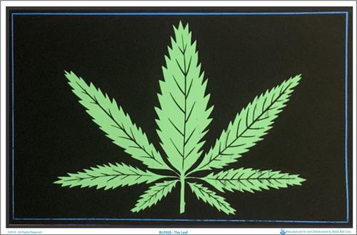 Blacklight velvet cannabis poster titled "The Leaf" featuring a glowing green marijuana leaf on a black background