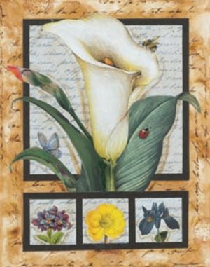 Lily And Friends Art Print