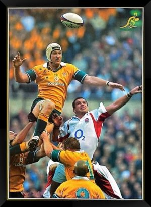 Rugby Union Wallabies Justin Harrison 2003 World Cup Framed Poster Print