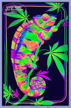 Chameleon Flocked Velvet Blacklight Poster - Image 2