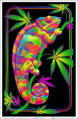 Chameleon Flocked Velvet Blacklight Poster