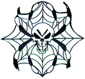 Spider Sew On Embroidered Patch