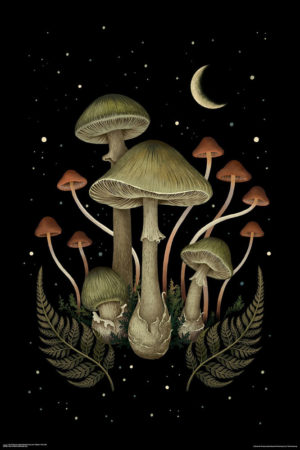 Death Cap Mushrooms Poster