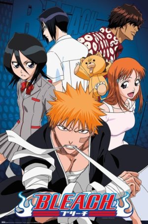 Bleach Characters Poster