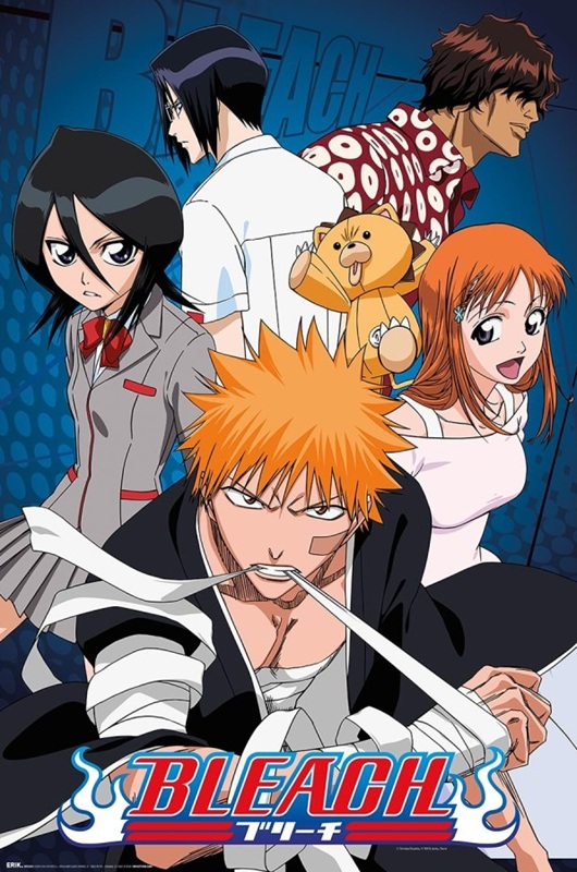 Bleach Characters Poster