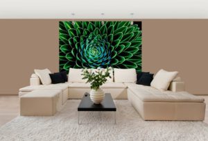 Senecio Nivalis Succulent Mini Mural 4 PART