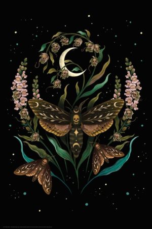 Death's Head Moth Poster