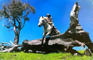 Horse Jumping Poster