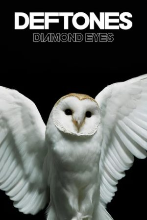 Deftones Diamond Eyes Album Cover Poster Print