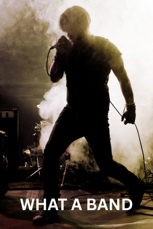 What A Band Live poster print